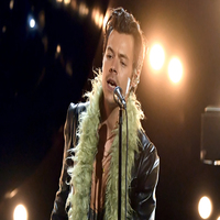 Feather Boa